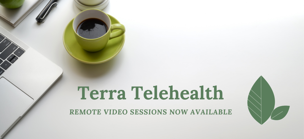 Introducing Terra Telehealth